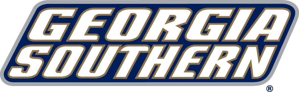 Georgia Southern Eagles 2004-Pres Wordmark Logo v4 iron on transfers for clothing